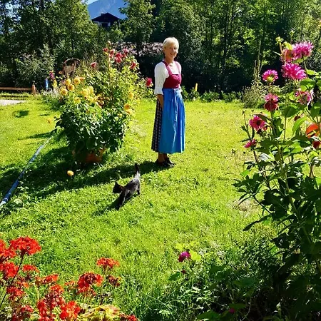 Hébergement de vacances Ursula *